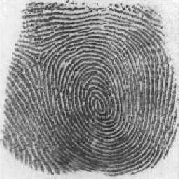 Fingerabdruck